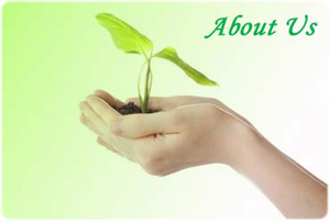 REAL WORTH INSURANCE COMPANY